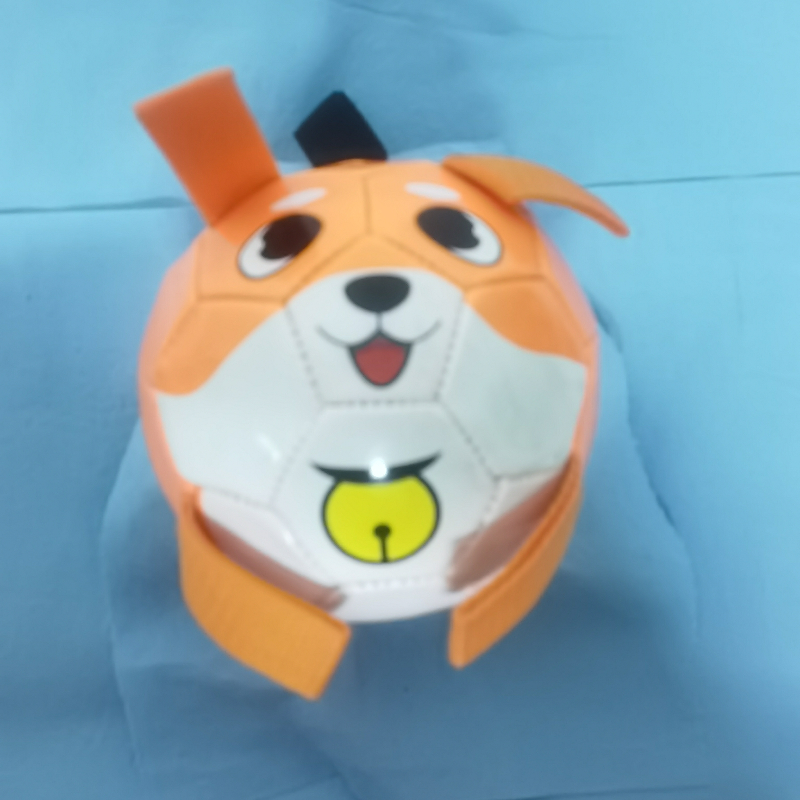 Pet ball